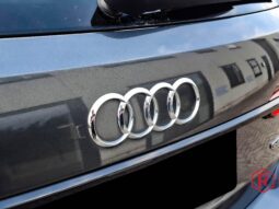 
										Audi A6 Avant 55 TFSI e S line Quattro full									
